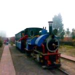 P1000521