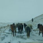 IMG_20170125_130442322
