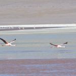 SalardeUyuni_7