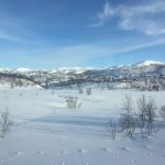 The Snow Filled Roofs Of Cabins & Houses Create A Nice View