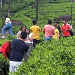 MVIMG_20190802_164621